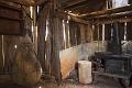 Edward Tyrrell's ironbark hut, Tyrrells Winery, Pokolbin IMGP4975